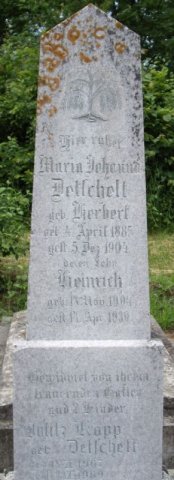 Herbert Maria 1885-1904 Grabstein